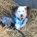 Tracey T. Brent - @traceyt.brent - Instagram