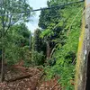 Brent Troy - @brent.troy - TikTok