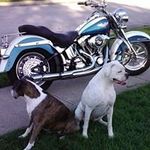 Brent Vaughn - @bavaughn81 - Instagram
