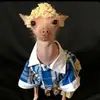 Brent Waters - @brentwaters14 - TikTok