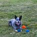 Brett Wentz - Facebook