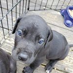 Brent Wiley - @bcw25000 - Instagram