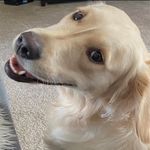 @brenton.cox - Instagram