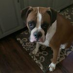 Bretly Bolin - @bretlybolin - Instagram