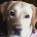Bret Campbell - Facebook
