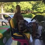 Brett Carter - @brett.carter.9066 - Instagram