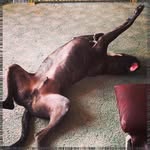 Bret Damron - @odetteklempupx - Instagram