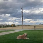 Brett Damron - @damronbrett - Instagram