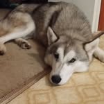 Brett Evans - @brett.evans.9484941 - Instagram
