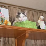 Bret H Hess - @fredriktalderoy - Instagram