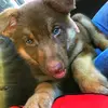 Patrick Bret - @patrick.bret - TikTok