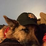 Brett Schaefer - @brett.schaefer45 - Instagram