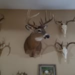 Bret Walters - @bwalters0219 - Instagram