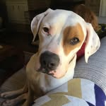 Bret Wiley - @bret.wileyyancha20 - Instagram