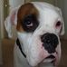Bret Wiley - Facebook