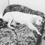 bret willis - @bret.willis - Instagram