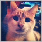 Brett Willis - @superfudge - Instagram