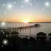 Brett Willis - @30201076313 - TikTok