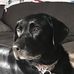 Brett Armbruster - Facebook