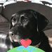 Brett Armbruster - Facebook