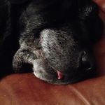 Brett Armstrong - @brett_armstrong_62 - Instagram