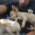 Brett Arnold - Facebook