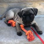 Brett Ayers - @vortex_brett - Instagram