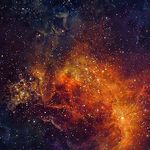 Brett rosskelly Baird - @ross_kelly4880 - Instagram