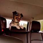 Brett barth - @barthbrett - Instagram