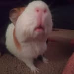 brettbartholomew - @brett_bubba - Instagram