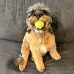 Brett Beck - @bbeckjr_ - Instagram