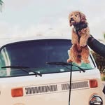 Brett Bernstein - @gatsbytu21 - Instagram