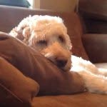 @brettbloomston - Instagram
