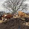 Brett Bomar - @brettbomar - TikTok