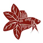 Betta Botanicals | Nature Inspired Aquariums & Vivariums - @bettabotanicals - Instagram