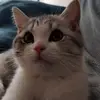 brittbotaa - @brittbotaa - TikTok