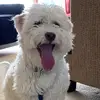 Brett Boyce - @brett.boyce1 - TikTok