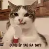 Brett Buck - @brett.buck5 - TikTok