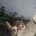 Brett Buckridge - Facebook
