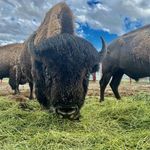 Brett Burnham - @burnham.bunch - Instagram