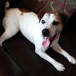 Brett Bush - @brettbush17 - Instagram