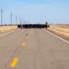 Brett buss - @user3584909779462 - TikTok