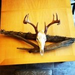 Brett Cagle - @nc_custom_mounts - Instagram