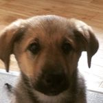 Brett Capstick - @yaboi_crumpet - Instagram