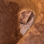 Brettchen - @brettchenberlin - Instagram