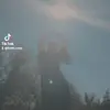 Brett Coey - @brett.coey - TikTok