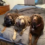 Brett Combs - @brettcombs22 - Instagram