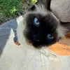 Brett Coonan - @brett.coonan - TikTok