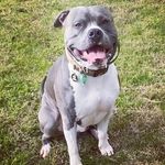 Brett Cooke - @judge_cooke - Instagram