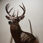 Brett Coon - @coon_dog21 - Instagram